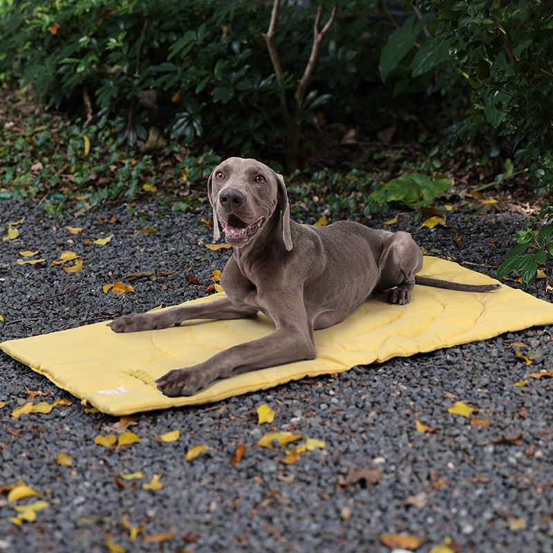 Portable Pet Mat Foldable Pet  - Outdoor Camping Dog Fence recension och pris